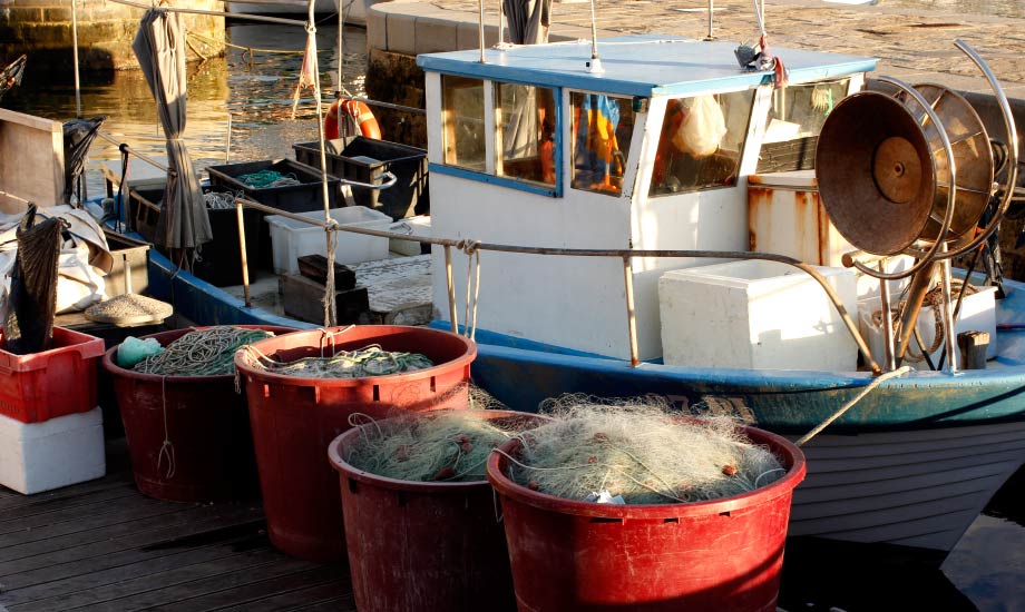 Fiskebåtene som ligger innerst i havna i Piran